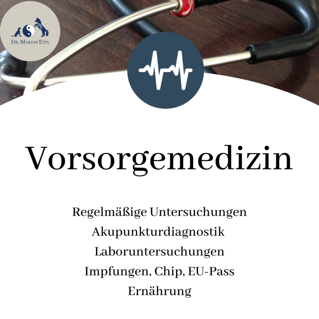 Untersuchung, Akupunkturdiagnostik, Labor, Impfungen, Chip, EU Pass, Tierernährung, kleintierpraxis mobil