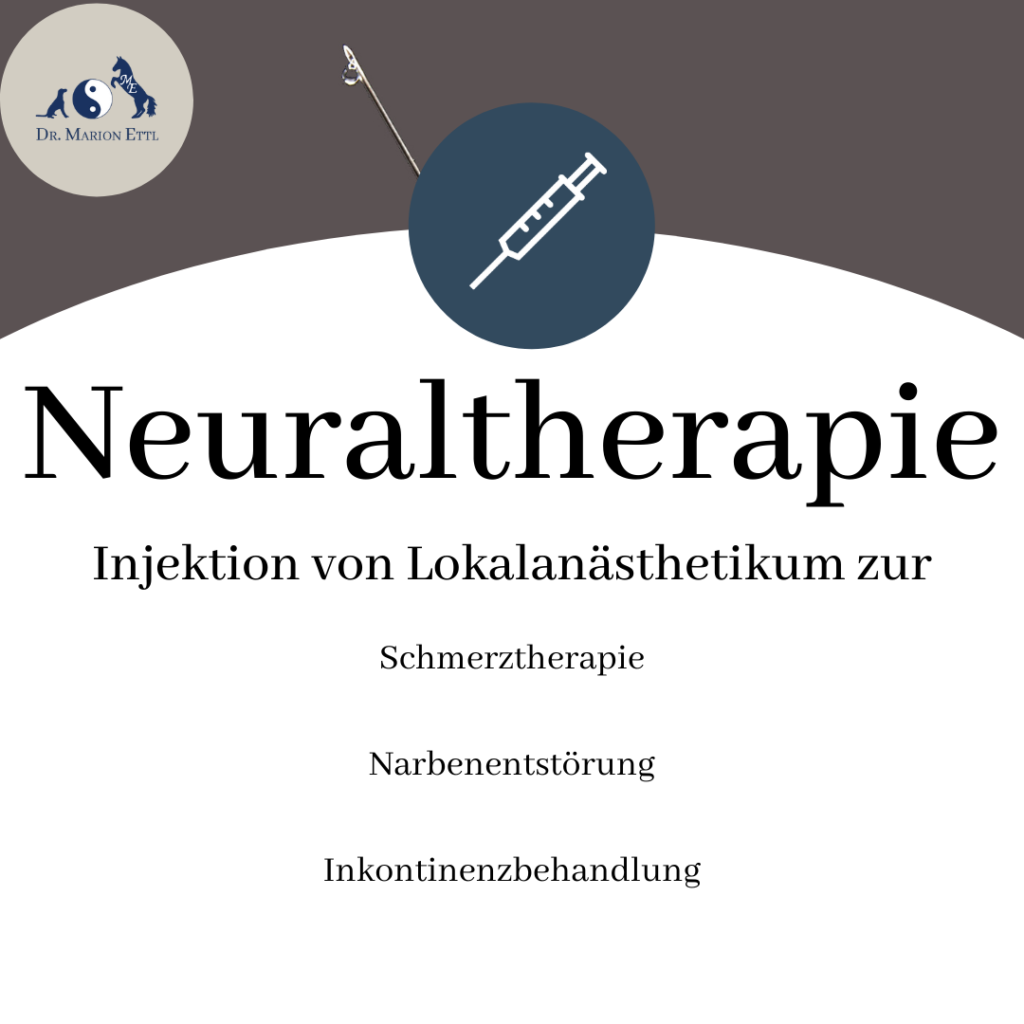 Neuraltherapie Hund Katze mobile pferdepraxis