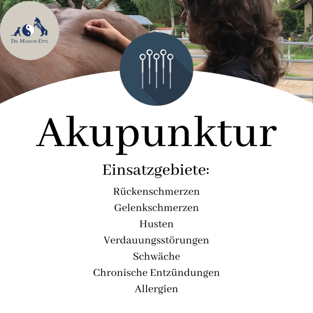Pferdeakupunktur, Pferdemedizin