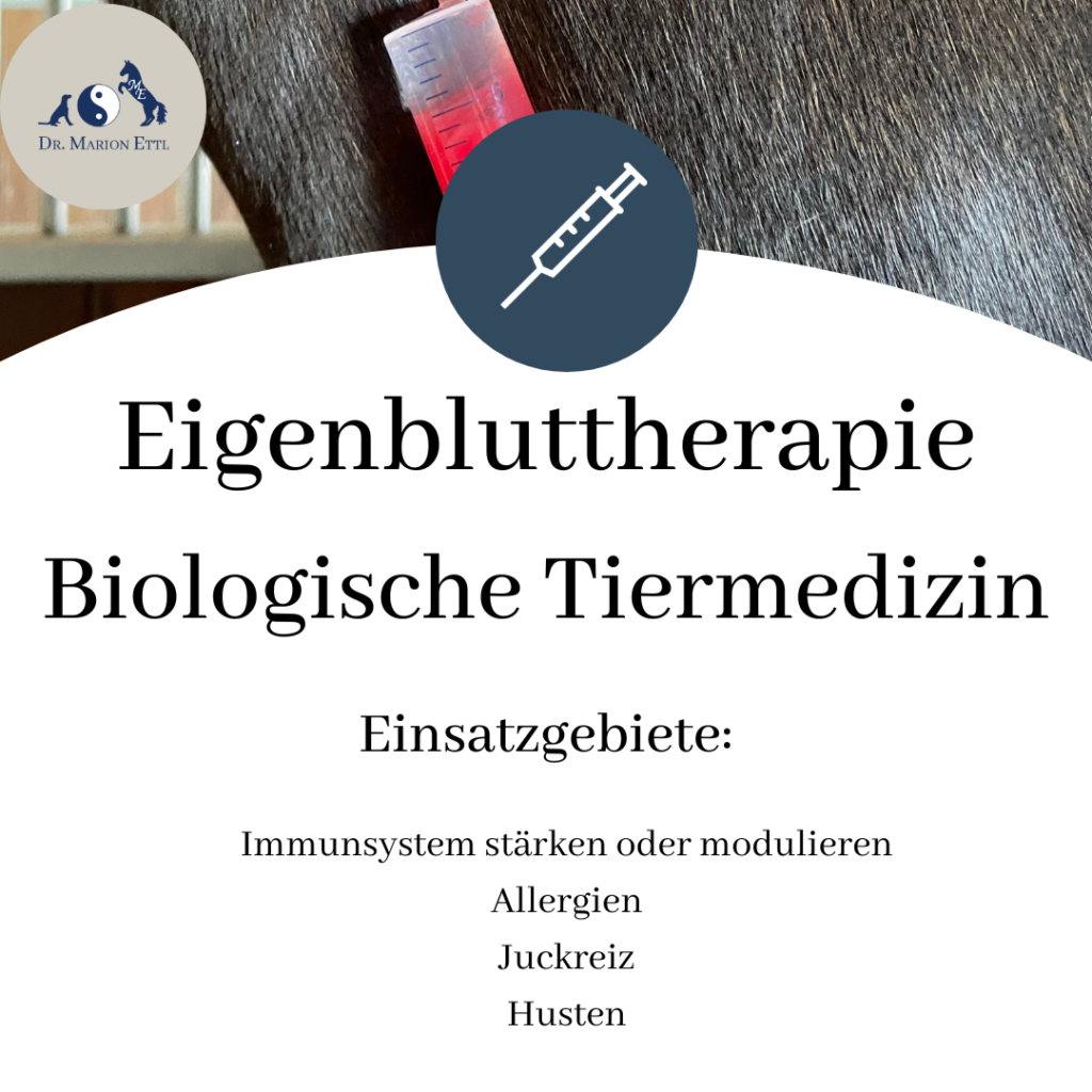 Eigenbluttherapie, homöopathie, biologische Tiermedizin, Heel