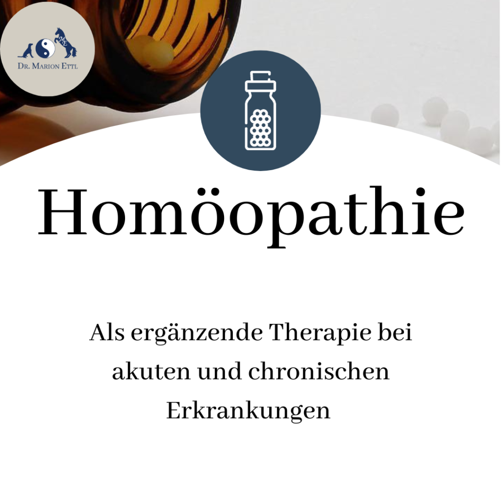 Homöopathie, Tierhomöopathie, Pferdehomöopathie, pferdepraxis