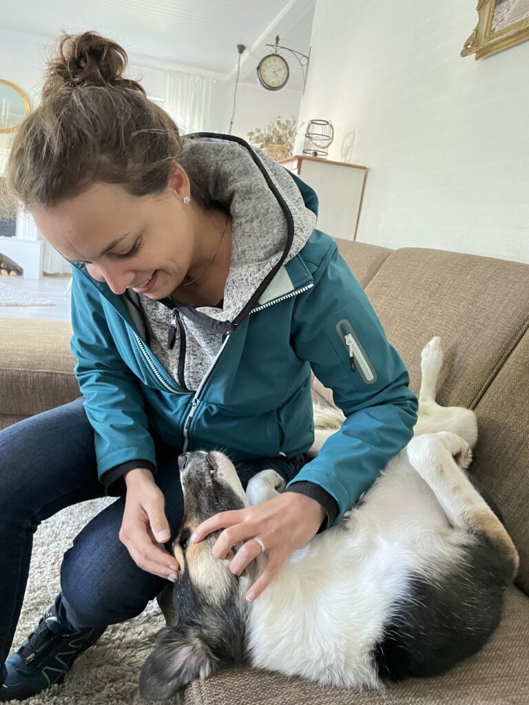 Impfberatung, Untersuchung Hund Katze