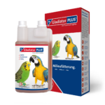 GladiatorPlus 5€ Gutscheincode XGP3599