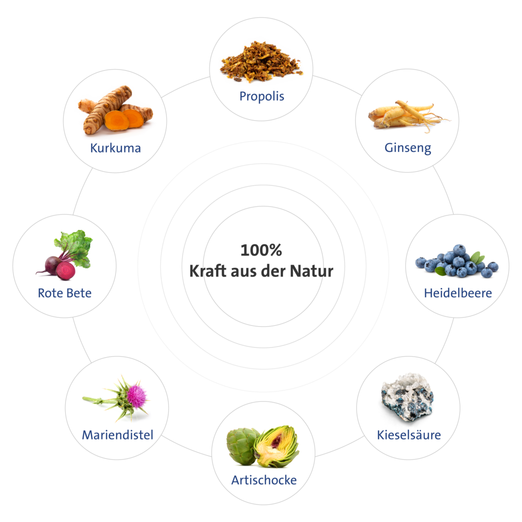 Gladiator Plus Inhaltsstoffe Gutscheincode