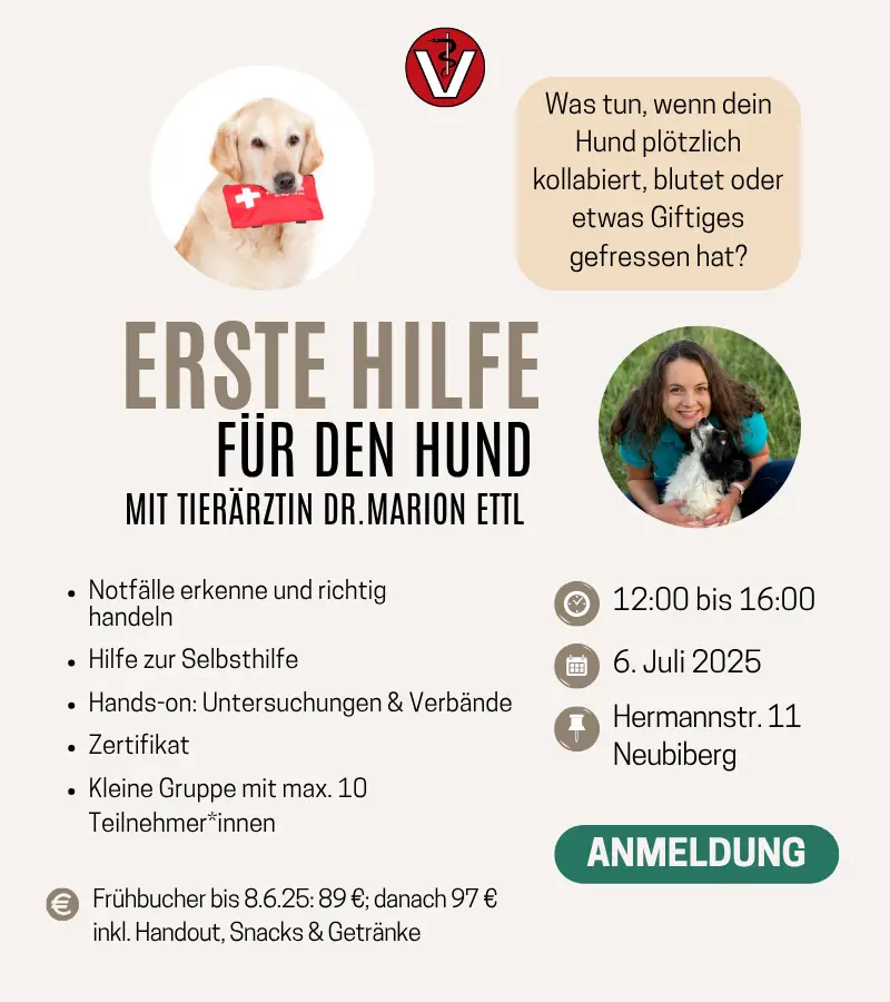 Erste Hilfe Kurs Hund Neubiberg München